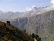 Walter 08.07.08-02.01.200980